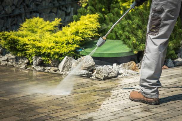 Best Building Exterior Washing  in Fruitport, MI