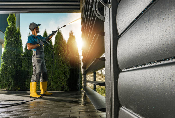 Best Solar Panel Cleaning  in Fruitport, MI