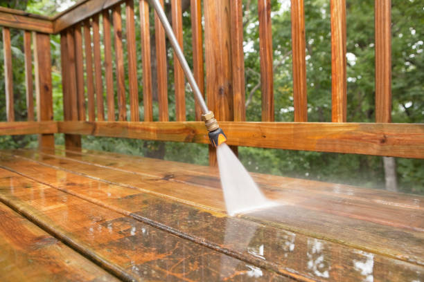Best Fence Cleaning  in Fruitport, MI